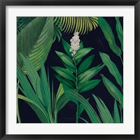 Dramatic Tropical I Framed Print