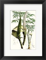 Tropical Plants IV Fine Art Print
