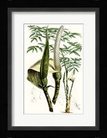 Tropical Plants IV Framed Print