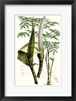 Tropical Plants IV Framed Print