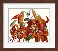 Striking Coral Botanicals II Fine Art Print