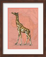 African Animals on Coral II Fine Art Print