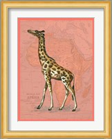 African Animals on Coral II Fine Art Print