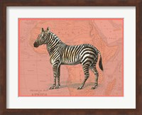 African Animals on Coral IV Fine Art Print