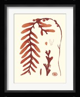 Coral Seaweed II Fine Art Print