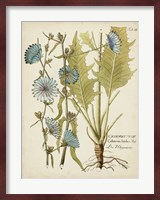 Eloquent Botanical I Fine Art Print
