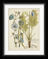 Eloquent Botanical I Fine Art Print