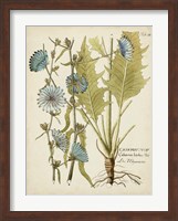 Eloquent Botanical I Fine Art Print