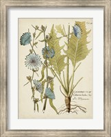 Eloquent Botanical I Fine Art Print