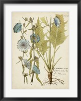 Eloquent Botanical I Fine Art Print