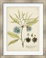 Eloquent Botanical III Fine Art Print