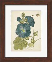 Eloquent Botanical IV Fine Art Print