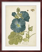 Eloquent Botanical IV Fine Art Print