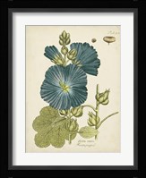 Eloquent Botanical IV Fine Art Print