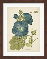 Eloquent Botanical IV Fine Art Print