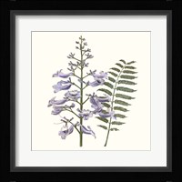 Graceful Botanical III Fine Art Print