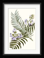 Graceful Botanical IV Fine Art Print