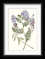 Graceful Botanical V Fine Art Print