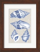 Navy & Linen Shells II Fine Art Print