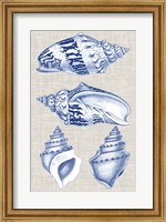 Navy & Linen Shells II Fine Art Print