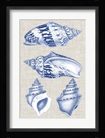 Navy & Linen Shells II Fine Art Print