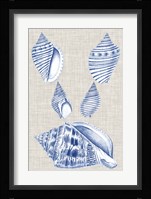 Navy & Linen Shells III Fine Art Print