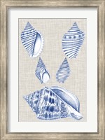 Navy & Linen Shells III Fine Art Print