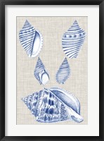 Navy & Linen Shells III Framed Print