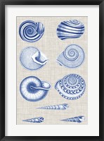 Navy & Linen Shells V Fine Art Print