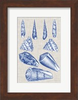 Navy & Linen Shells VI Fine Art Print