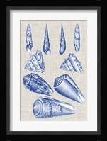 Navy & Linen Shells VI Fine Art Print