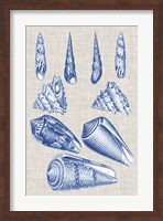 Navy & Linen Shells VI Fine Art Print
