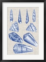 Navy & Linen Shells VI Framed Print