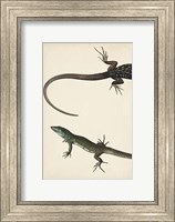 Lizard Diptych I Fine Art Print
