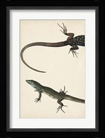 Lizard Diptych I Fine Art Print