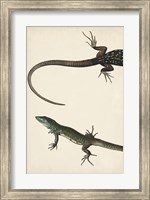 Lizard Diptych I Fine Art Print