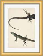 Lizard Diptych I Fine Art Print