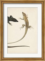 Lizard Diptych II Fine Art Print