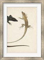 Lizard Diptych II Fine Art Print