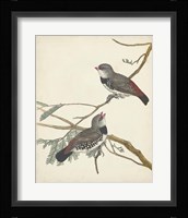 Graceful Birds I Fine Art Print