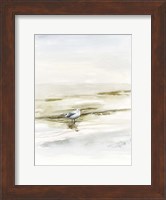 Coastal Gull I Fine Art Print