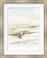 Coastal Gull I Fine Art Print