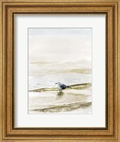 Coastal Gull II Fine Art Print