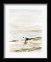 Coastal Gull II Fine Art Print