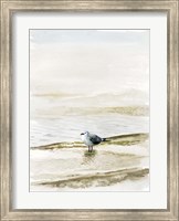 Coastal Gull II Fine Art Print