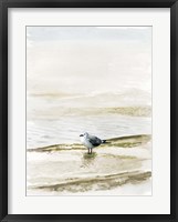 Coastal Gull II Fine Art Print