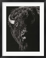 Wild Scratchboard IV Fine Art Print