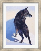 Wolf Study I Fine Art Print