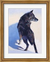 Wolf Study I Fine Art Print