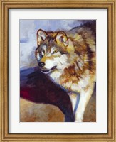 Wolf Study II Fine Art Print